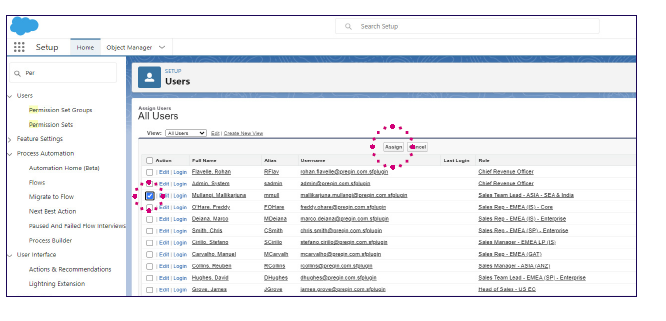 SF Plugin granting access 6